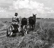 Mize on Rev Garners farm June 1939